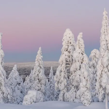 Charming In The Downtown Apartment *