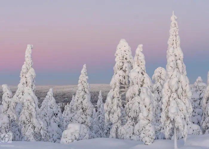 Charming In The Downtown Appartement *